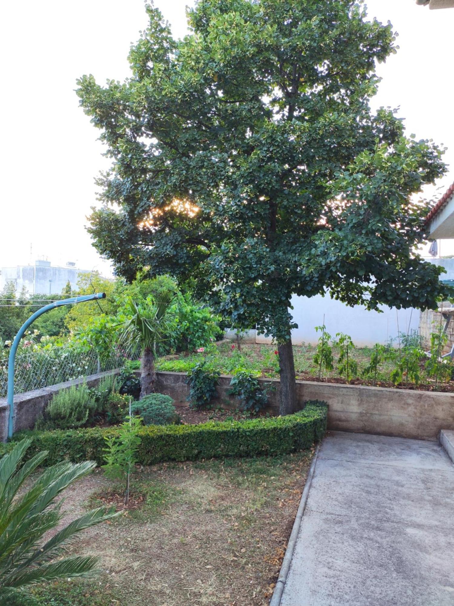 Apartment With Private Garden And The Terrace Ev Station Available Crikvenica Exteriör bild