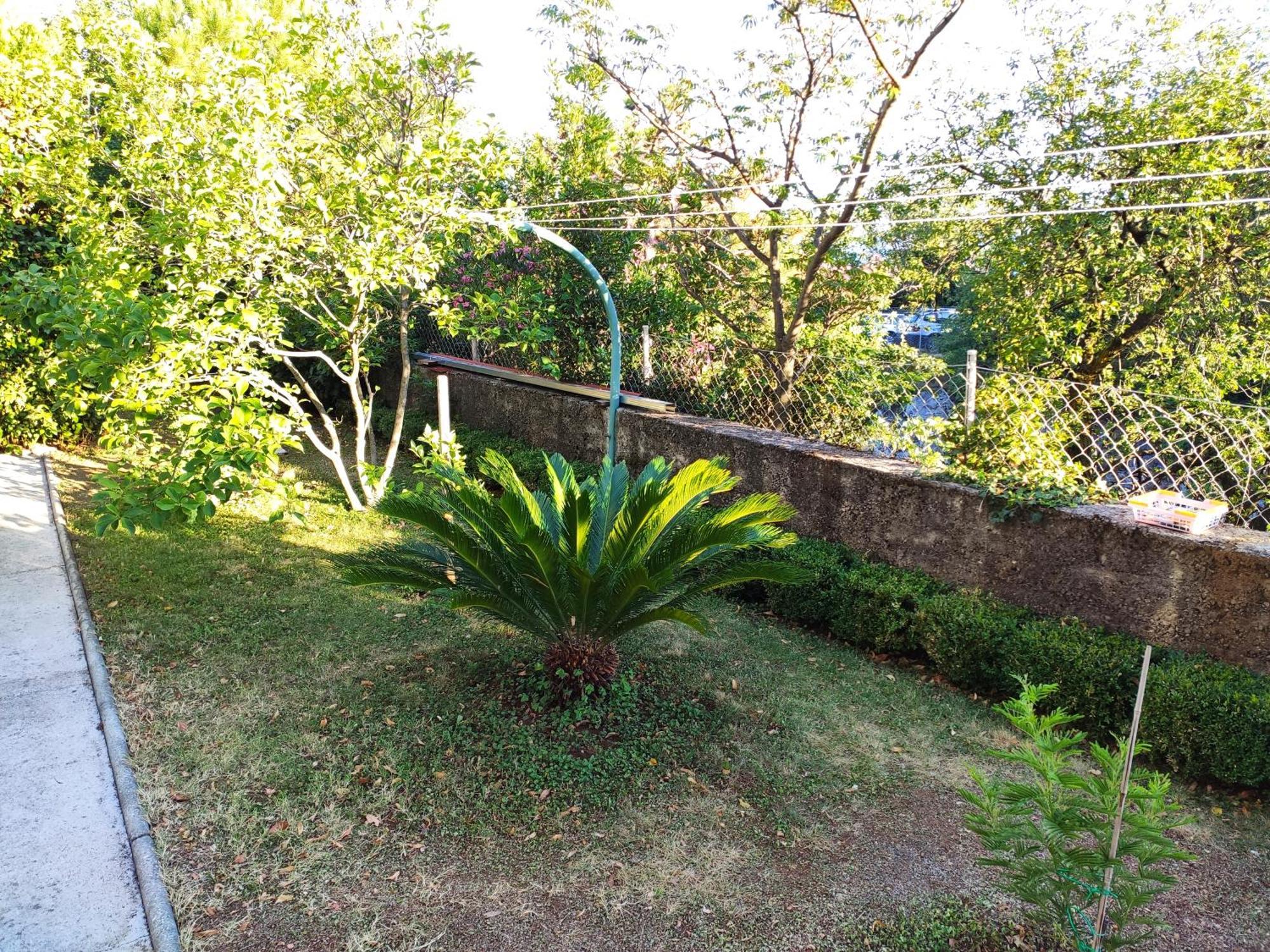Apartment With Private Garden And The Terrace Ev Station Available Crikvenica Exteriör bild