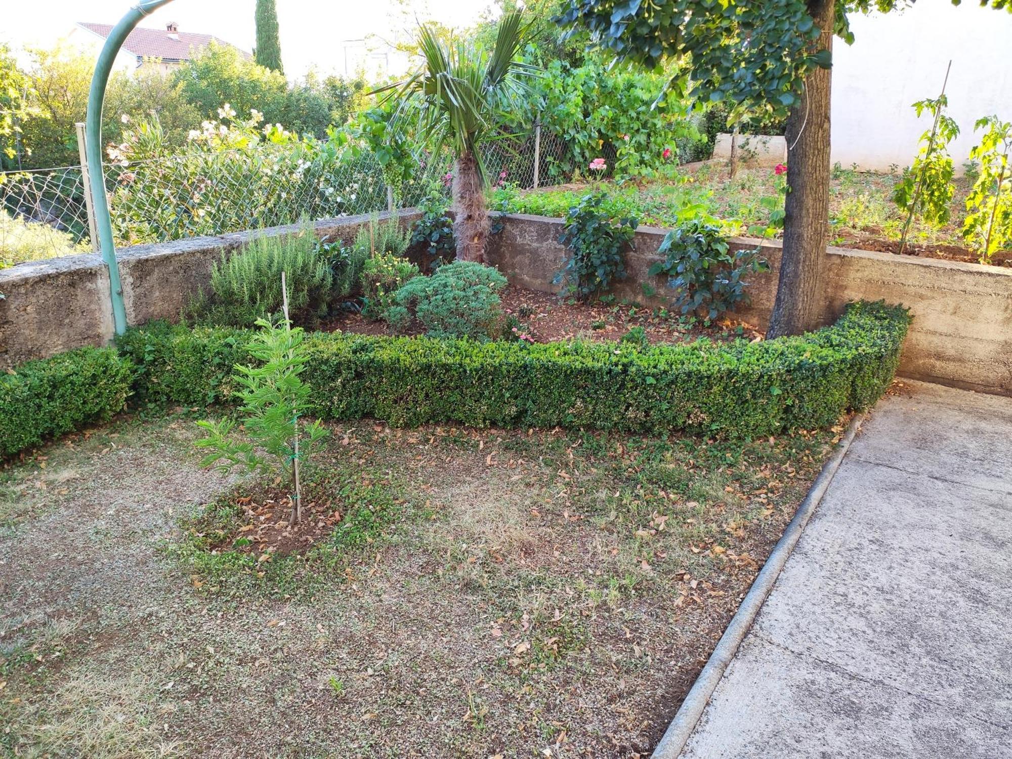 Apartment With Private Garden And The Terrace Ev Station Available Crikvenica Exteriör bild